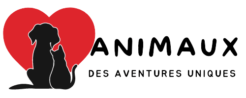 Logo animaux des aventures uniques