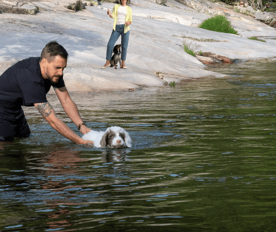 Activités en Plein Air pour Animaux