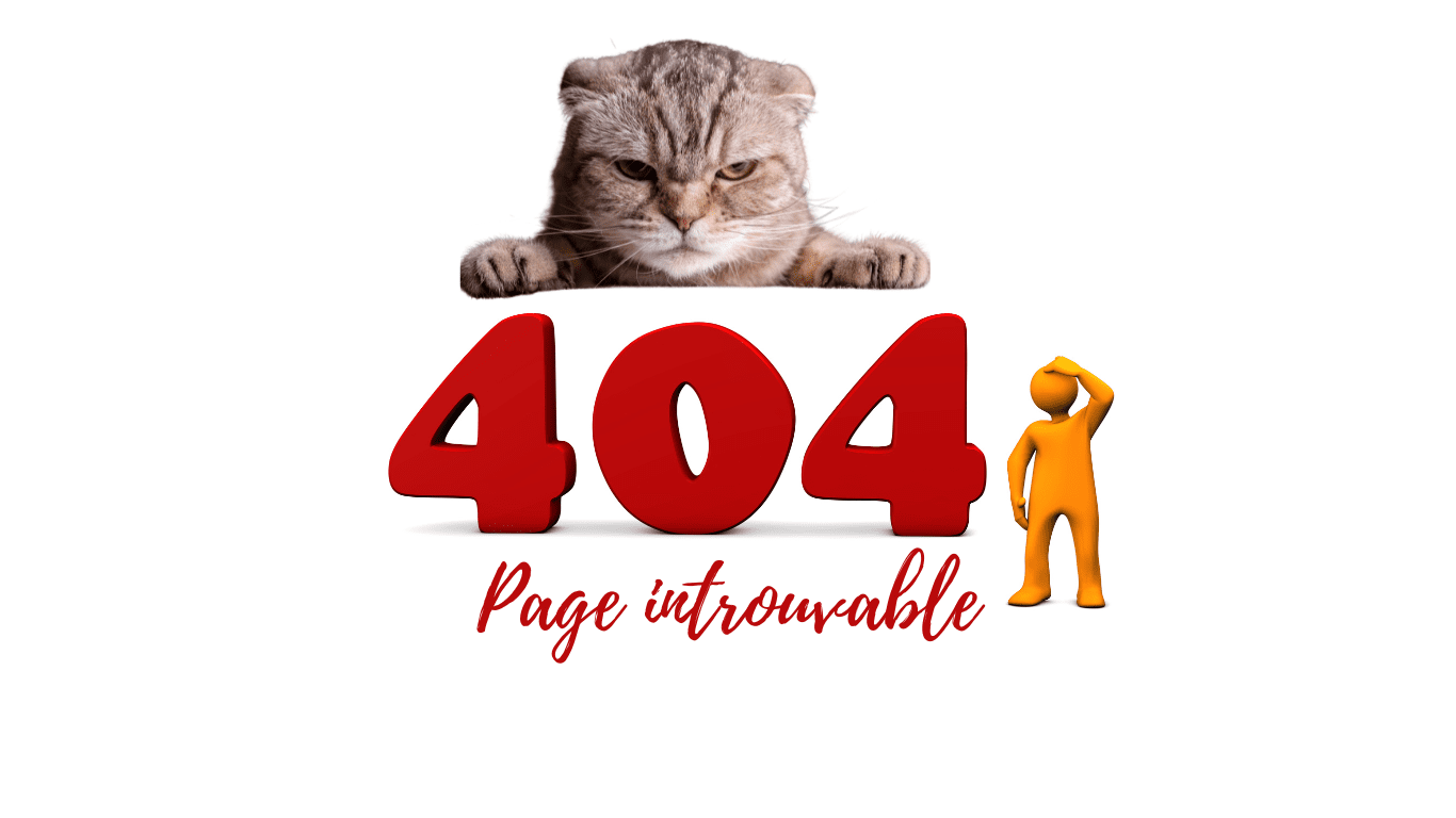 Erreur 404