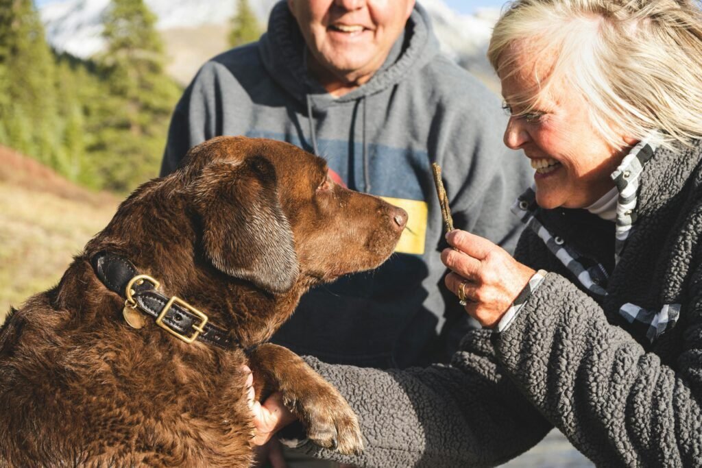 anxiété de séparation chez les chiens