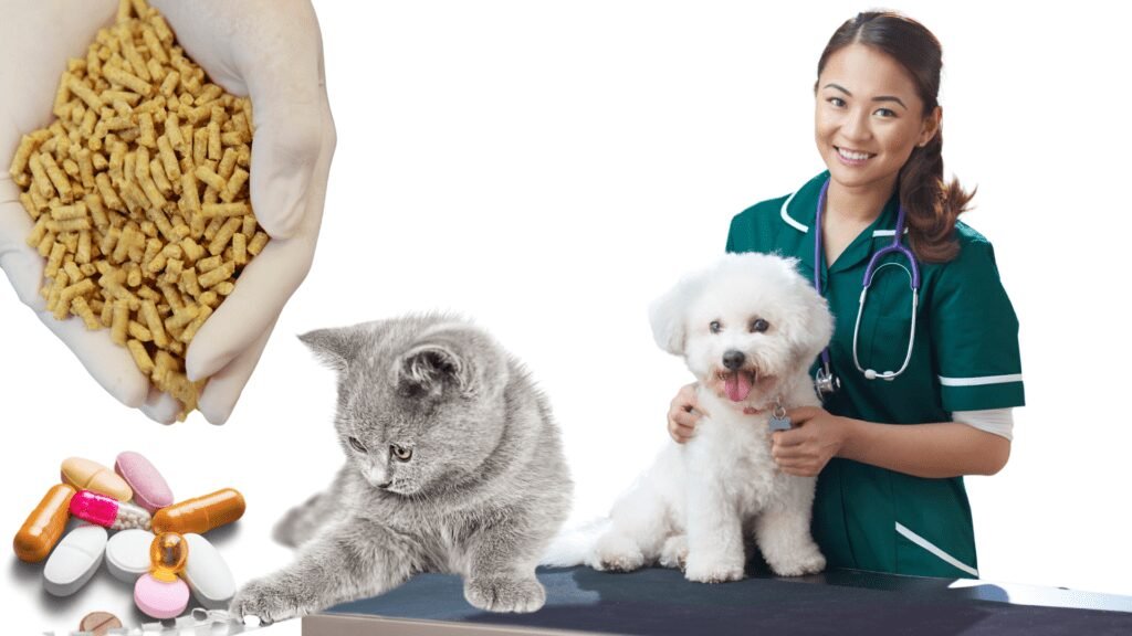 medecines alternatives pour animaux 1