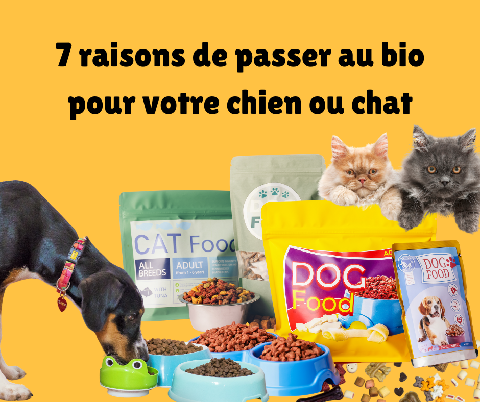 Alimentation naturelle pour animaux