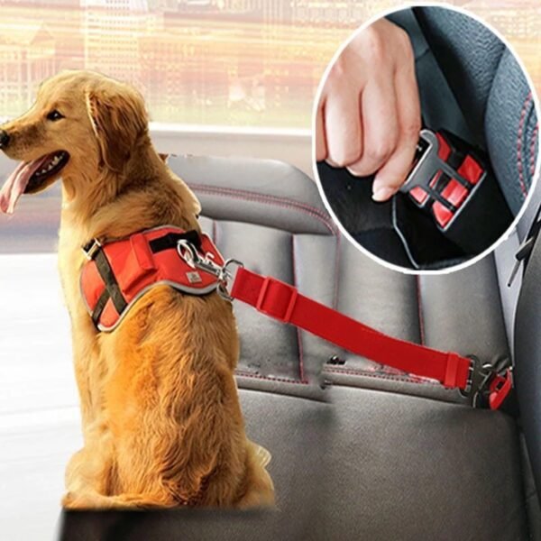 Harnais voiture avec clip de fixation
